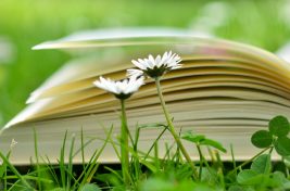 Facts about Education